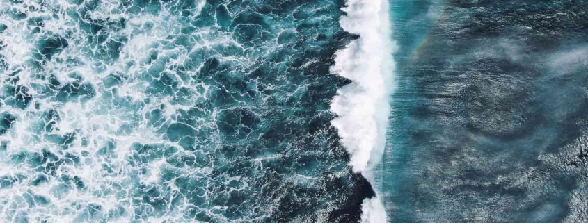 Tag des Meeres am 8. Juni! Wir haben alle Fakten zu den Weltmeeren für Dich gesammelt und Tipps, wie Du sie schützen kannst.