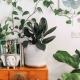 So kannst Du umweltfreundlich WOhnen! Wir haben Tipps und Tricks wie Dein Zuhause grüner wird.