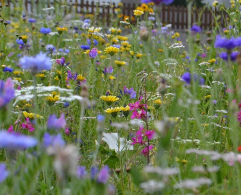 Wir zeigen Dir wie du im Frühling nochmal extra Energie sparen kannst.